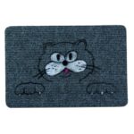 FRONT DOOR MAT RUG 40X60 FLOCKY